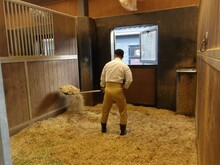 馬の部屋の掃除